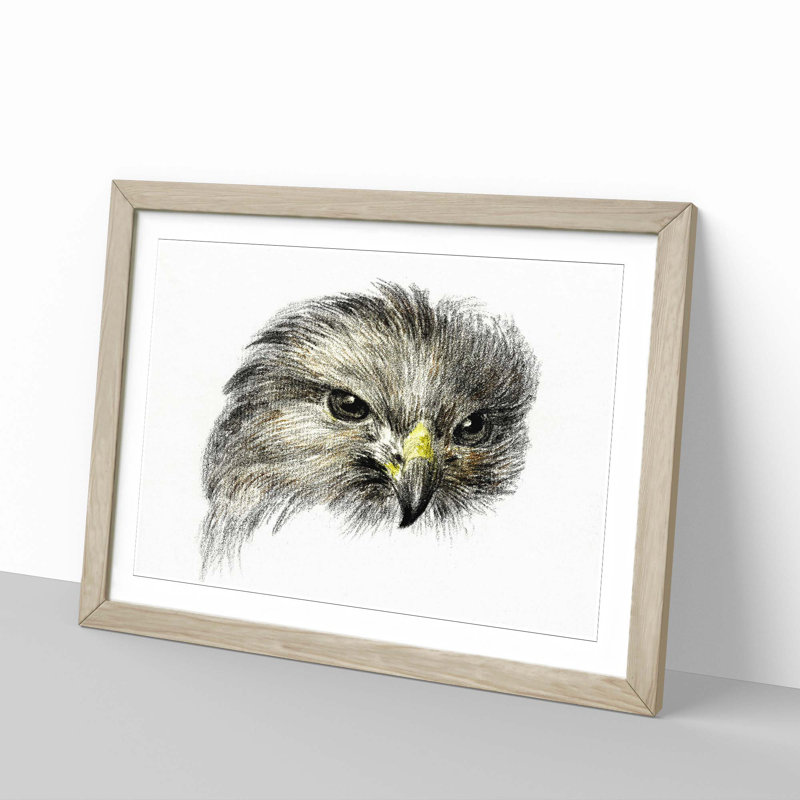 Bird of Prey by Jean Bernard - Picture Frame Painting Print, 27cm H x 36cm W x 2cm D, Oak Framed