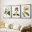 Antique Botanical Collection-522022678-522022666