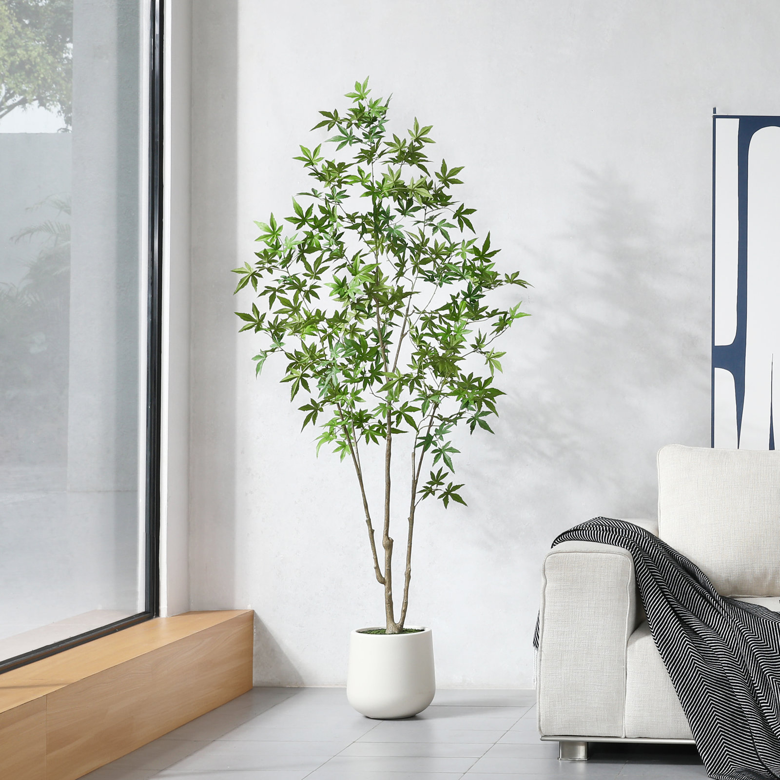 Adcock 72" Maple Tree in Pot, 72" H x 24" W x 24" D