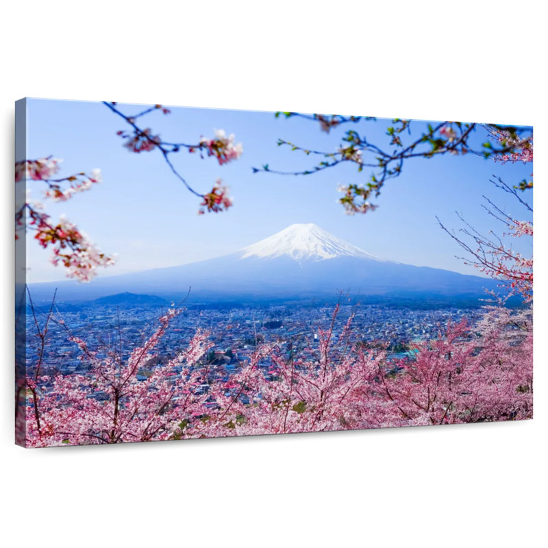 Mount Fuji Cherry Blossoms