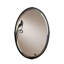 Leaf Traditional Beveled Accent Mirror-6344985
