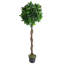 Faux Topiary in Pot Liner-1221621310