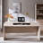 Maud 63" Modern Computer Desk with 2 Storage Drawers, Computer Writing Desk with Keyboard Tray & Power Outlet for Home Office-1827471090