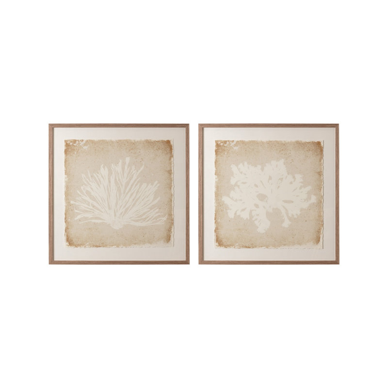 Aquatic Flora II Print