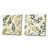 Toile tendue