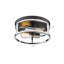 Modern 2 Light Iron Round Flush Mount-555383801