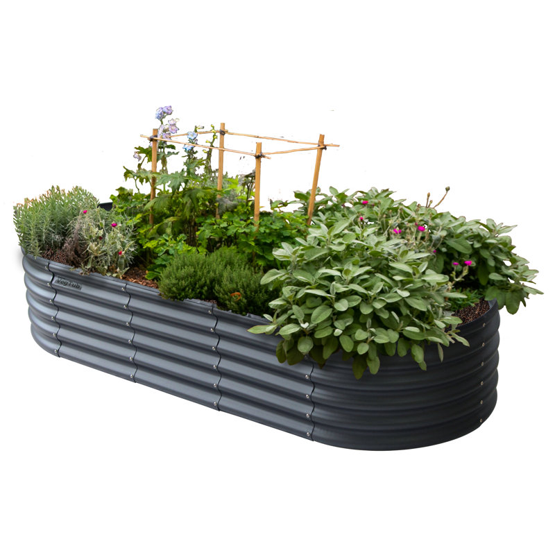 Aniakudo Wood Raised Garden Bed, Green