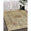 Crème orientale/brun Tapis décoratif Areli-1539822079