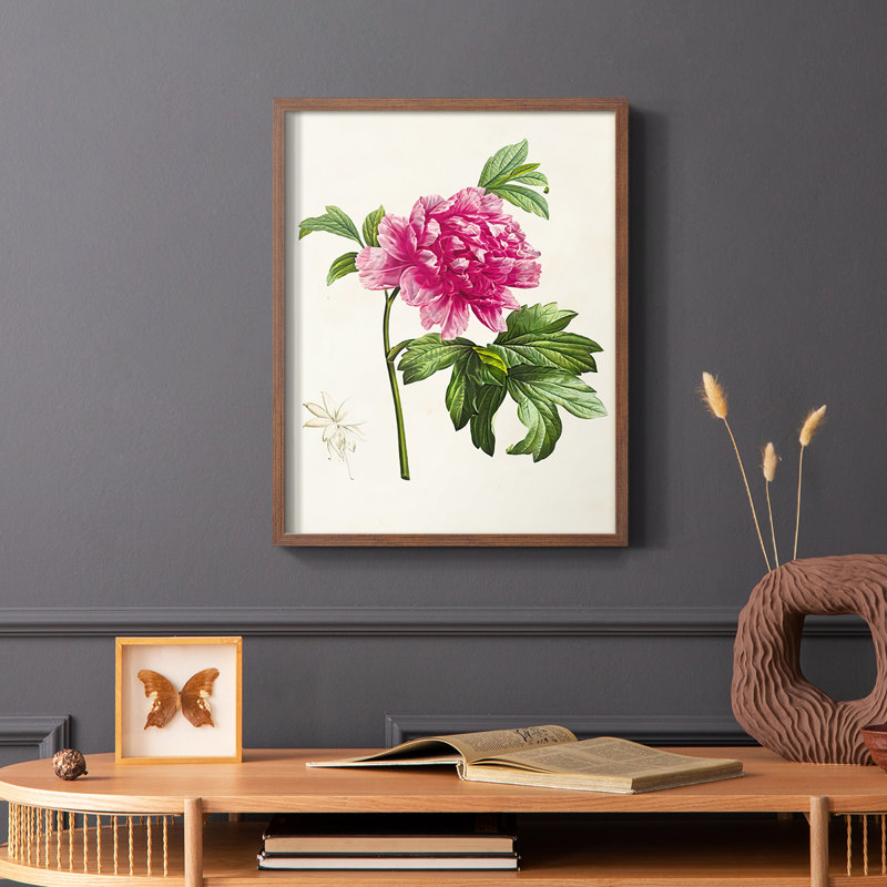 «Pretty Botanicals I», reproduction encadrée - bois massif, Brun, H 20 po x l 16 po