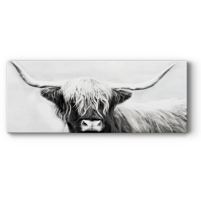 Highland Longhorn Fade-Resistant Canvas Graphic Art Print