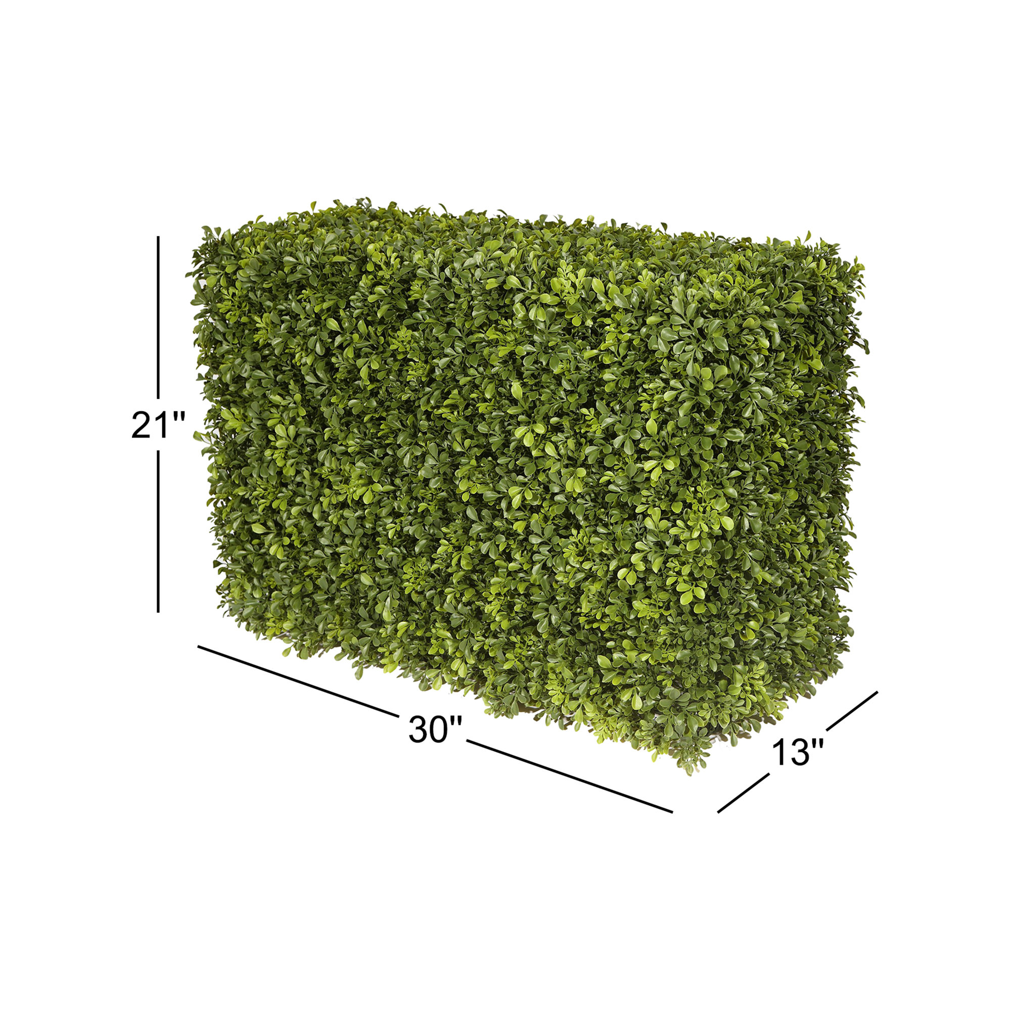 Hedge, 21" H x 13" W x 30" D