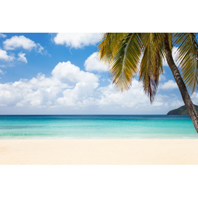 Caribbean by Cdwheatley - No Frame Print on Canvas