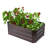 Severson 31.5" Industrial Metal Raised Garden Bed-1741198069