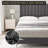 Velvet Platform Bed Frame-911693007
