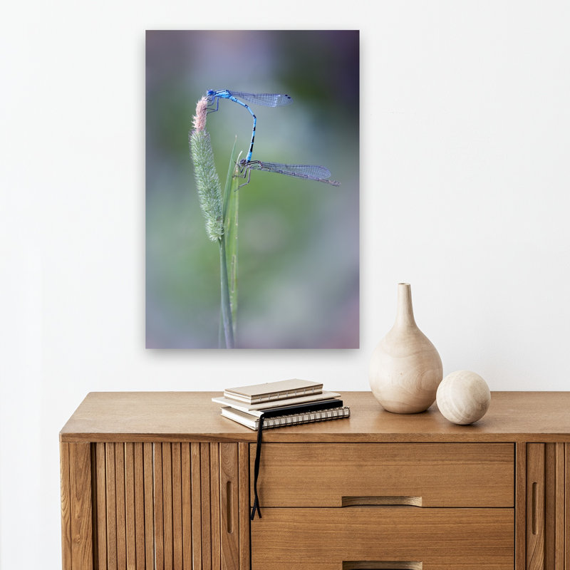 Blue Damselfly Love Delicate Serene Tranquil Animal Nature Wall Art Print 1 Piece Wrapped Canvas Wall Art