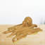 Figurine de pieuvre nautique en bois brun naturel sculpté à la main de 8,25 pouces de largeur