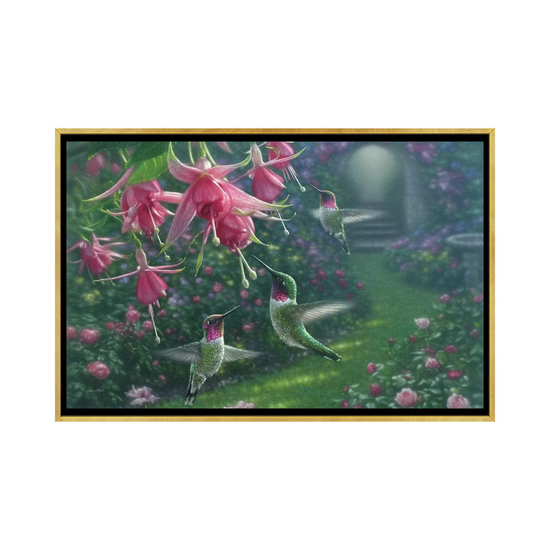 «Hummingbird Haven, Horizontal» par Collin Bogle - impression d'art graphique, Toile encadrée d'or, Pas de tapis
