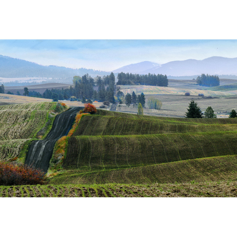 Pastoral Countryside XIII by Colby Chester - Photograph Print, 20cm H x 30cm W, Wrapped Canvas