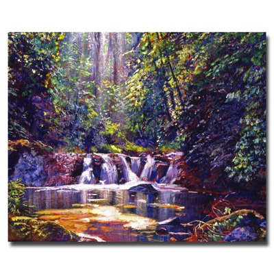 « moussageing water forest » par david lloyd’s glover, reproduction d’art sur toile tendue
