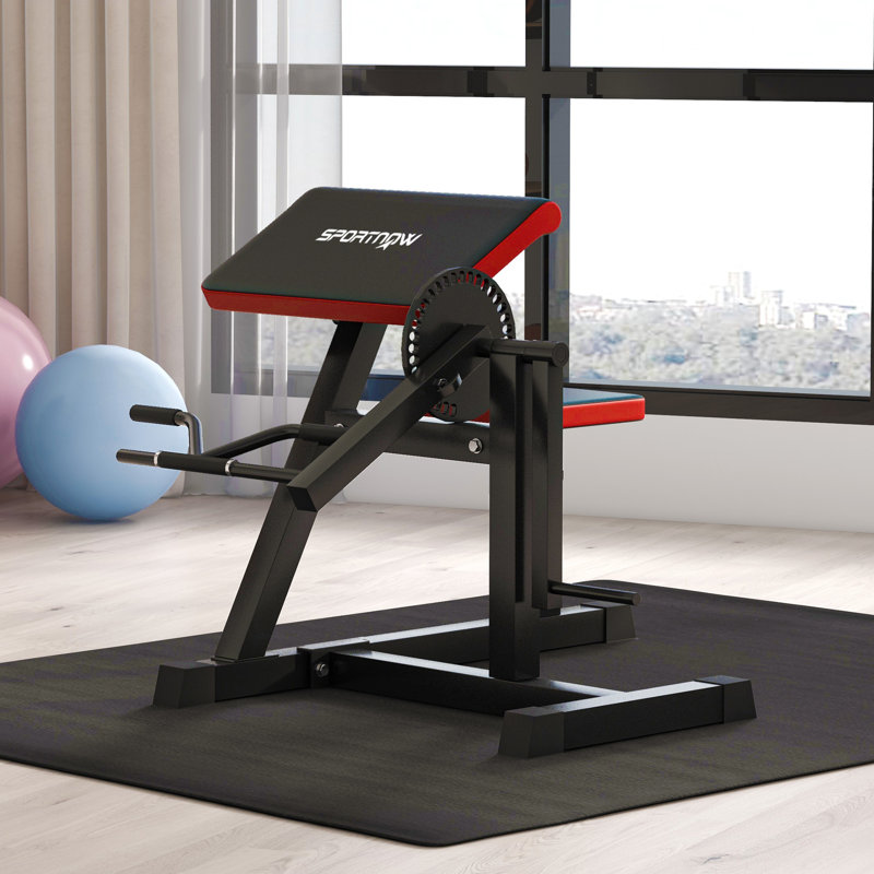 Preacher Curl Bench