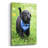 " Black Lab Pup 1 " by Jonathan Ross-553688072