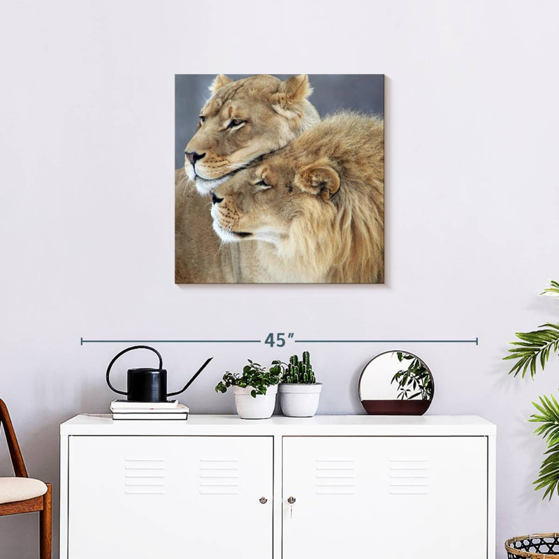 Amour de lion et de lionne Brampt, H 24 po x l 24 po