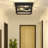 Flush Mount-1982156766-1964284608