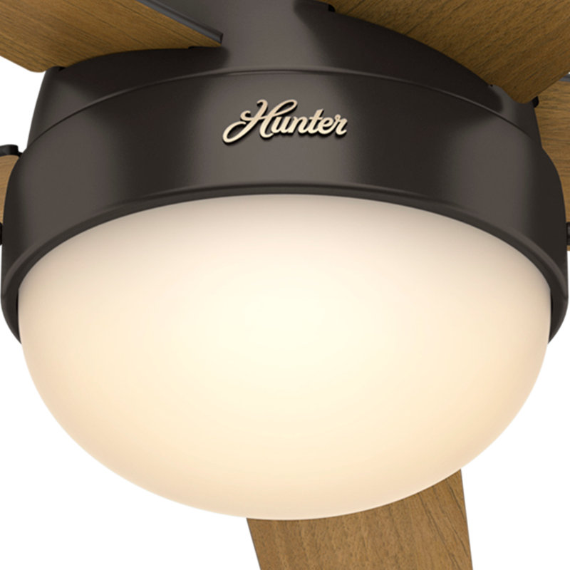 Premier Bronze 46" Anslee LED Ceiling Fan with Reversible Blades