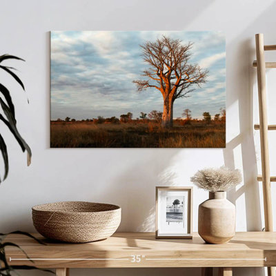 Baobab zambien Harnek