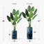 Arbre artificiel signleader avec vase effet lézard bleu et blanc délavé, faux oiseau de paradis pour salon, chambre à coucher, bureau - 4,83 pieds (58 po)-1951236783