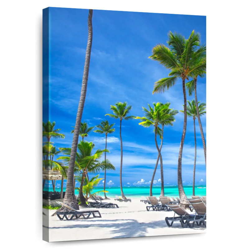 Gillard Dominican's White Gillard, 24" H x 16" W