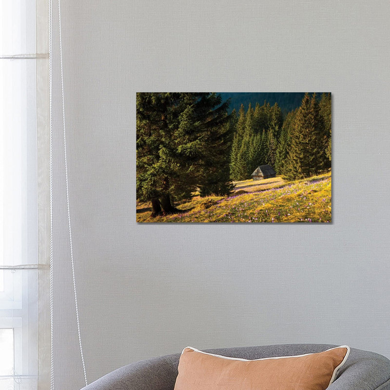 Poland Tatra Mountains Chocholowska Valley by Mikolaj Gospodarek - Wrapped Canvas Print, 66.04 cm H x 45.72 cm W x 3.175 cm D