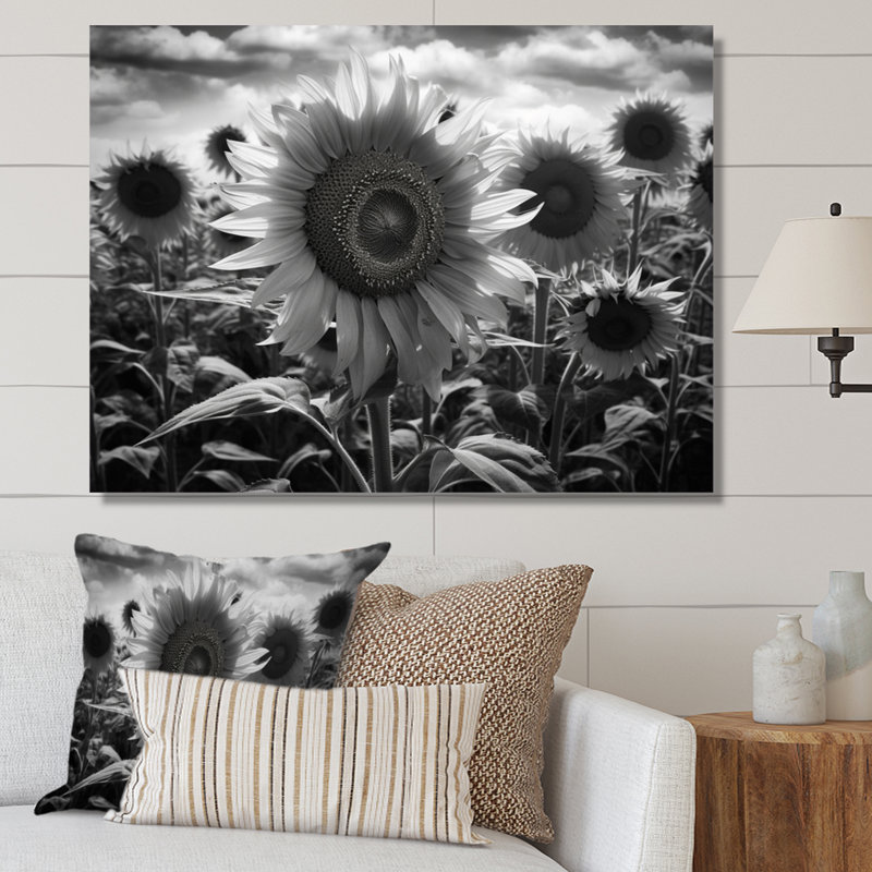 Tournesol noir et blanc I, H 12 po x l 20 po x P 1 po, Toile tendue