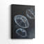 Jellyfish Heaven I -Gallery Wraraped Cavas-2022312034