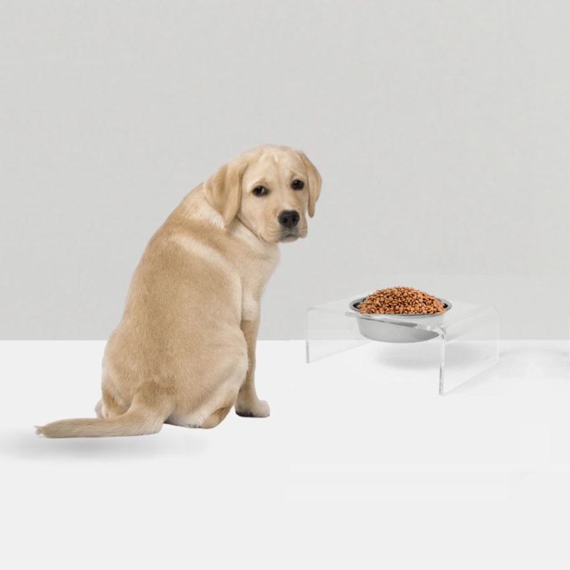 Single Bowl Elevated Feeder with Bowl, Silver, Clear