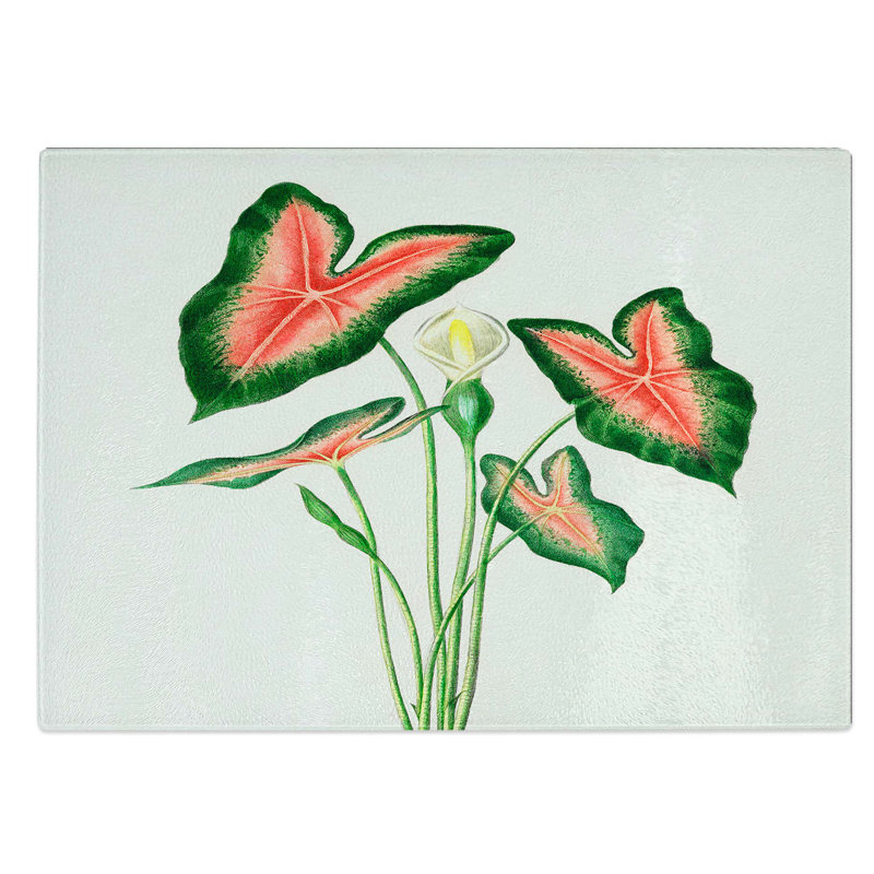 Glass Elephant Ear Lily Flower by Charles D' Orbigny Chopping Board, 39 cm W x 28.5 cm L