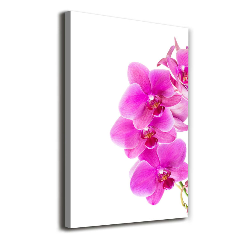 Pink Orchid - Wrapped Canvas Print