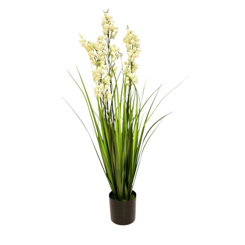 Bellflower Grass In A Pot