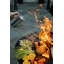 Harrogate Fire Pit Grill