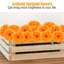 Arrangement de souci-1194958467