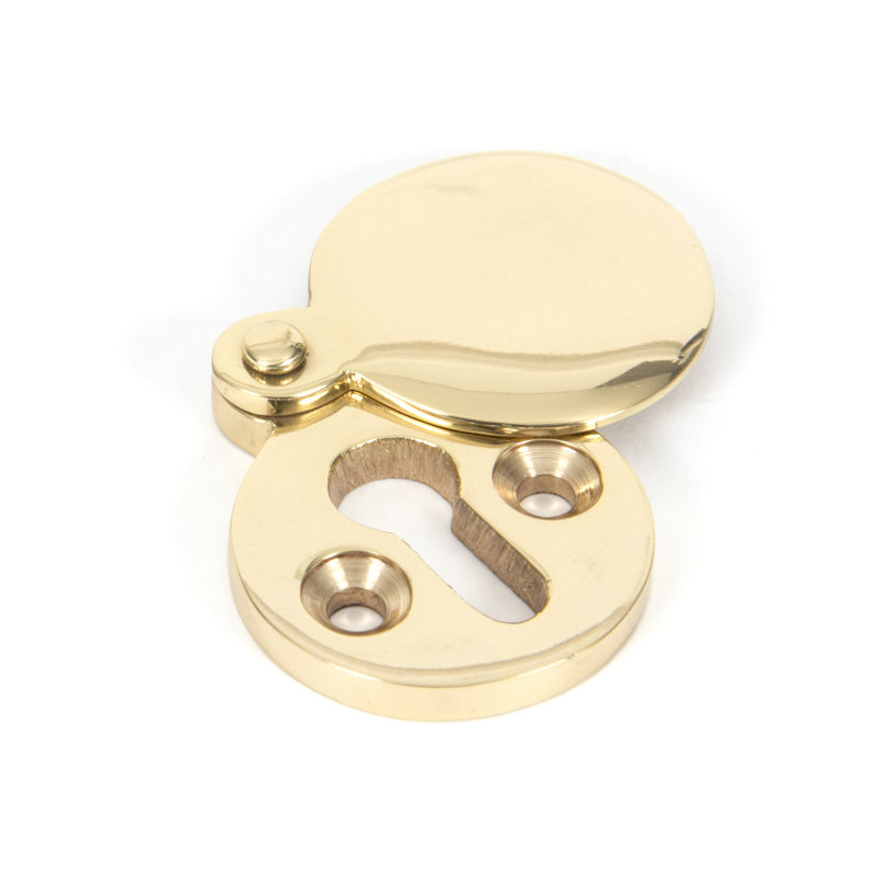 Escutcheon Satin Chrome, Polished Brass