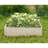 Dorgan Wood Planter Box