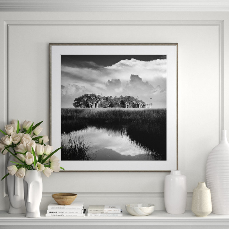 Marsh In Black & White Giclee Print