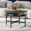 Table basse à plateau relevable avec rangement Giles pour le salon et le bureau personnel Giles-293392644