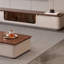 Combinaison simple de table basse et de meuble télé