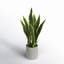 Artificial Sansevieria Snake Plant in Pot-1454465281