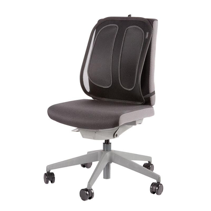 Brayden Studio Back Support