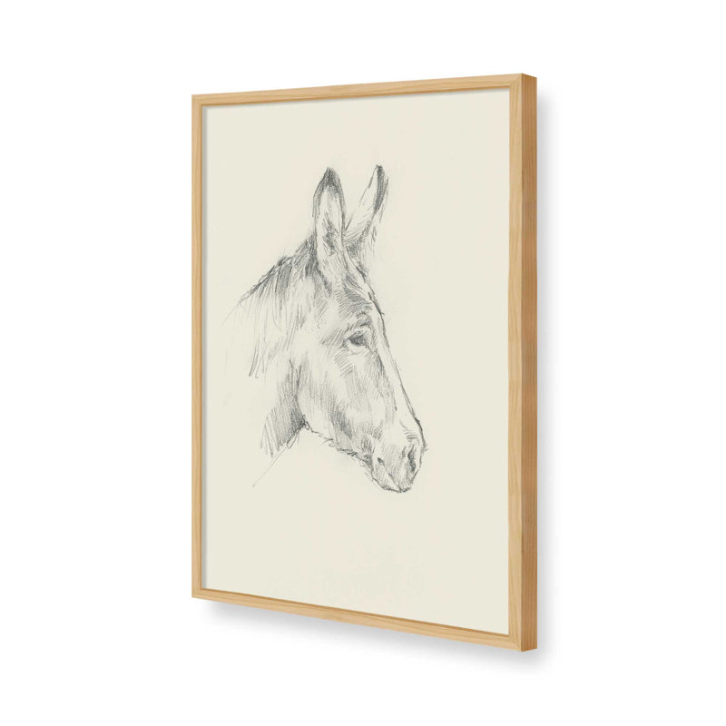 «Donkey Study I» par Ethan Harper, reproduction d'art sur toile, Tanné, Impression sur cadre ouvert sans papier mat