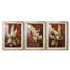 FLORAL Series CCII - Impression encadrée de qualité supérieure sur mesure mat - 3 pièces-154247190-154247191