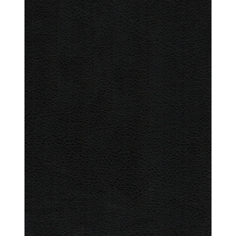 Tête de lit à panneau rembourré, Très grand, Noir